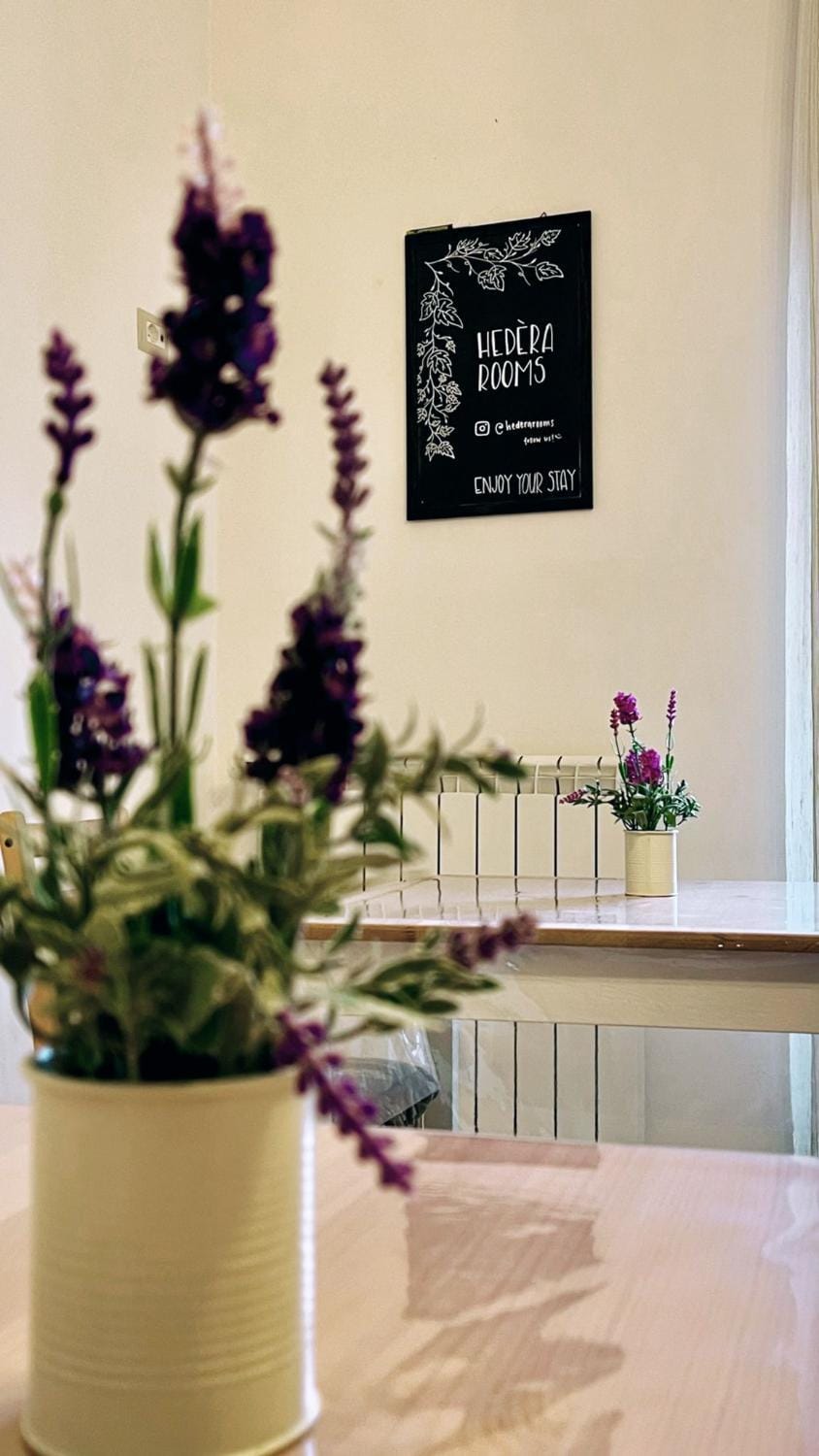 Communal lounge/ TV room, Breakfast