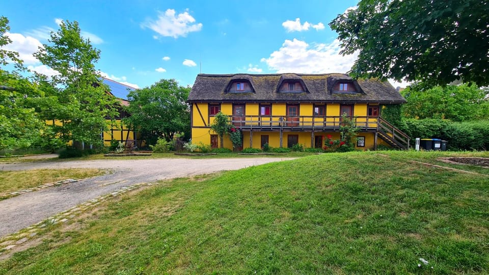Property building, Spring, Day, Natural landscape, Garden, Garden view