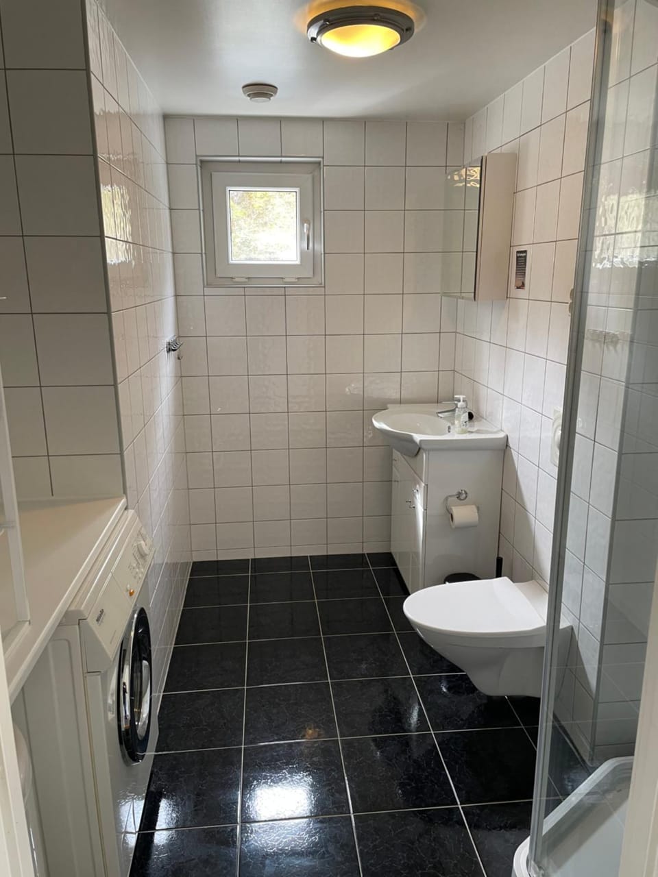 Toilet, Bathroom, washing machine