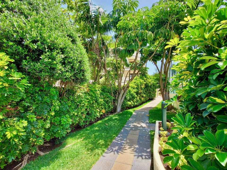 Facade/entrance, Garden