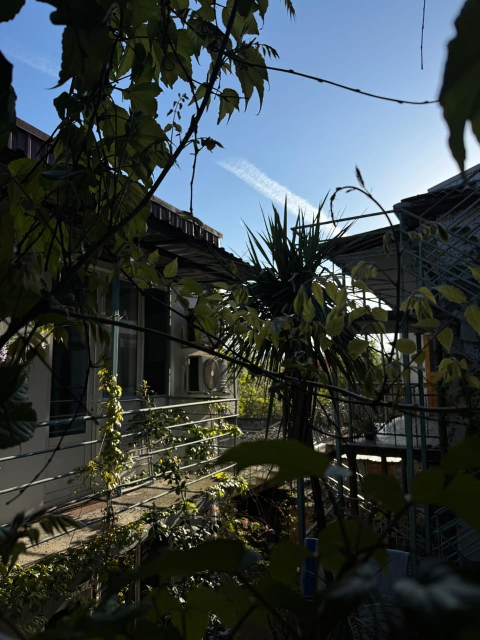 Property building, Garden, Garden view