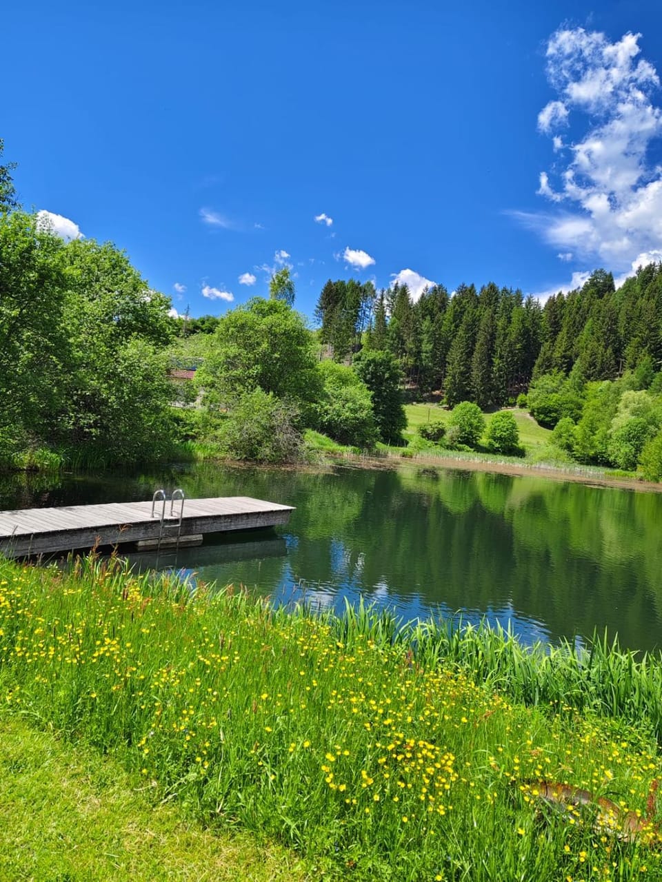 Natural landscape
