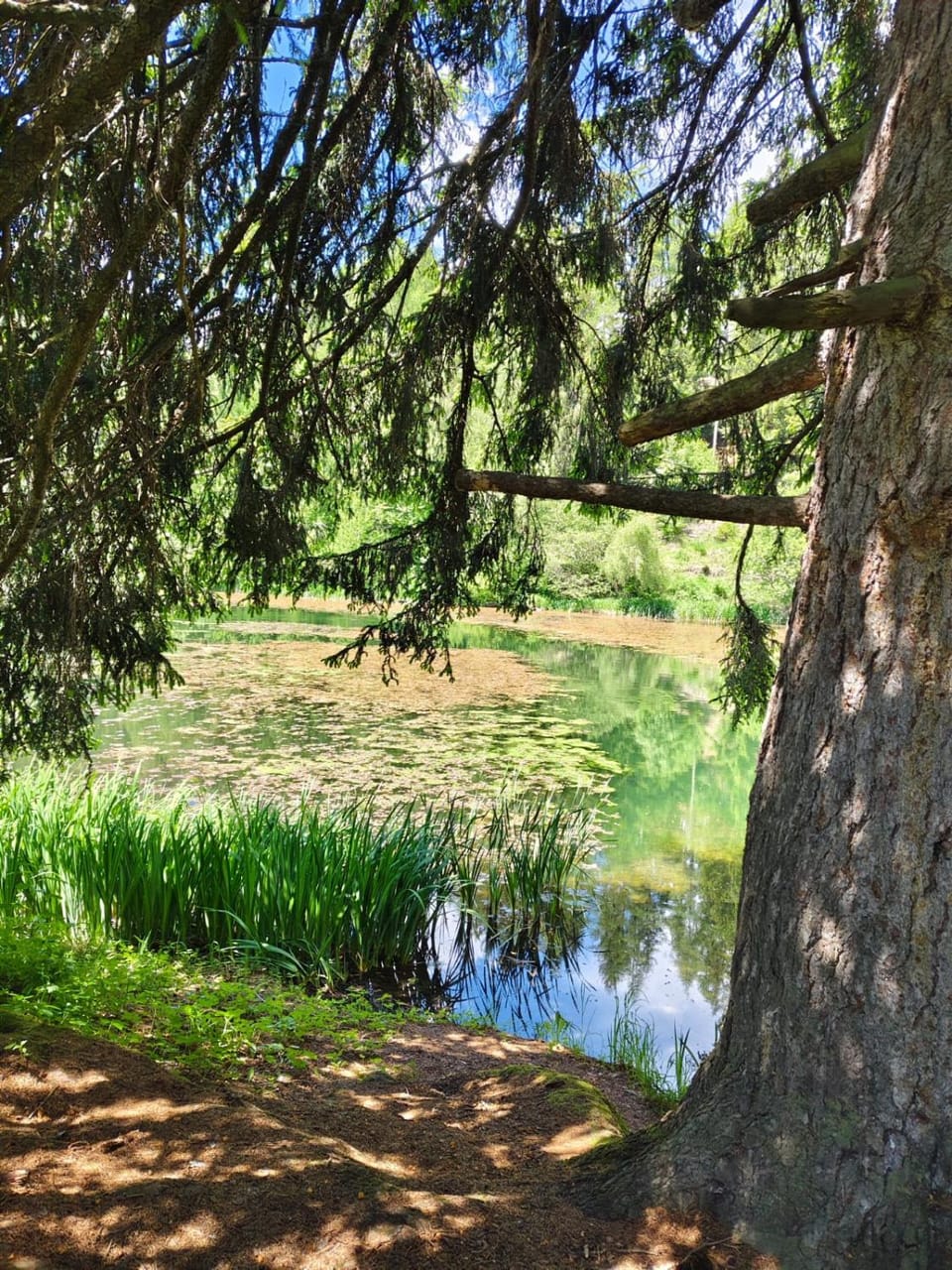 Natural landscape