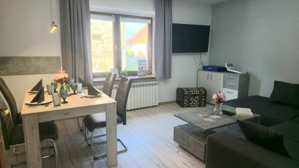 Ferienwohnungen auf einem rustikalen 3 Seitenhof Apartment in Saxony