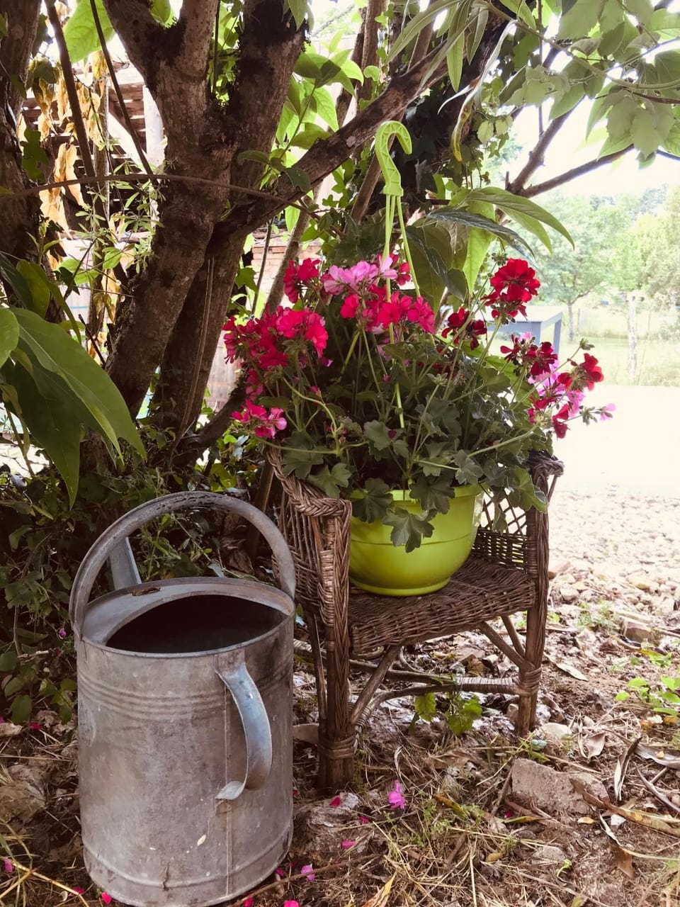 Maison avec jardin dans village House in Nouvelle-Aquitaine