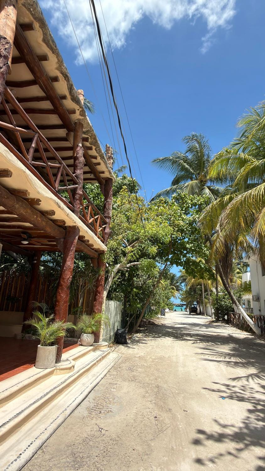 Day, Neighbourhood, Summer, Street view