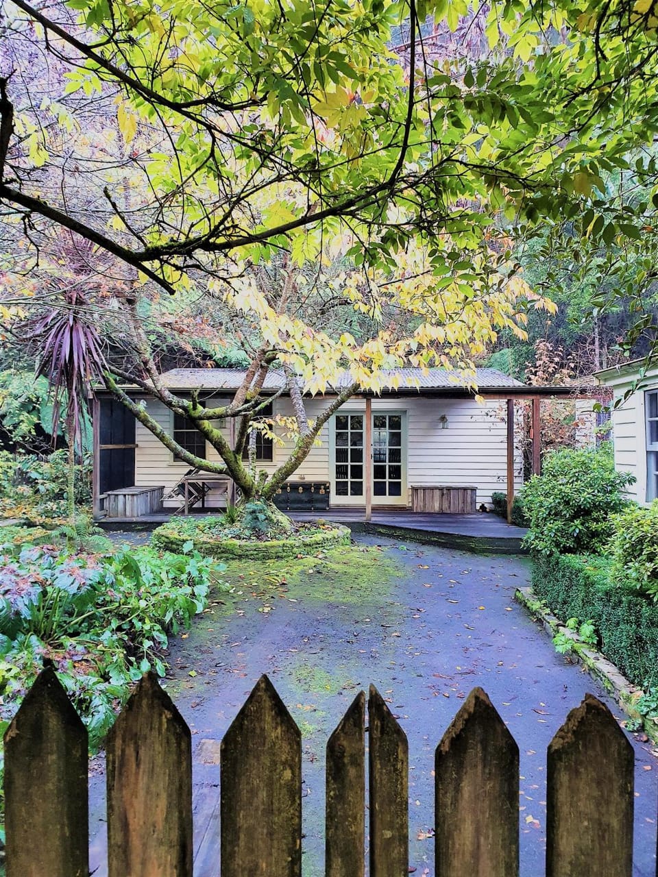 Property building, Garden, Garden view