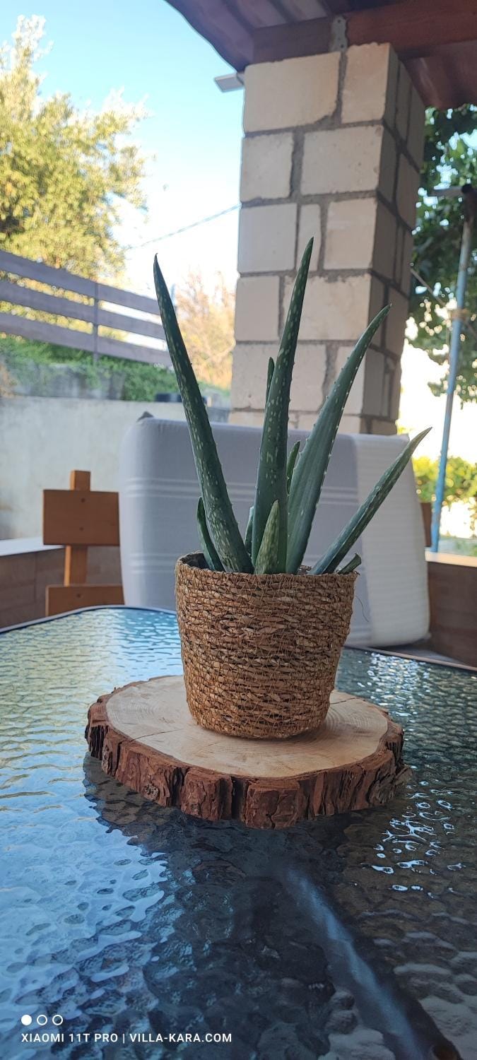 VILLA KARA - Creta Bed and Breakfast in Crete