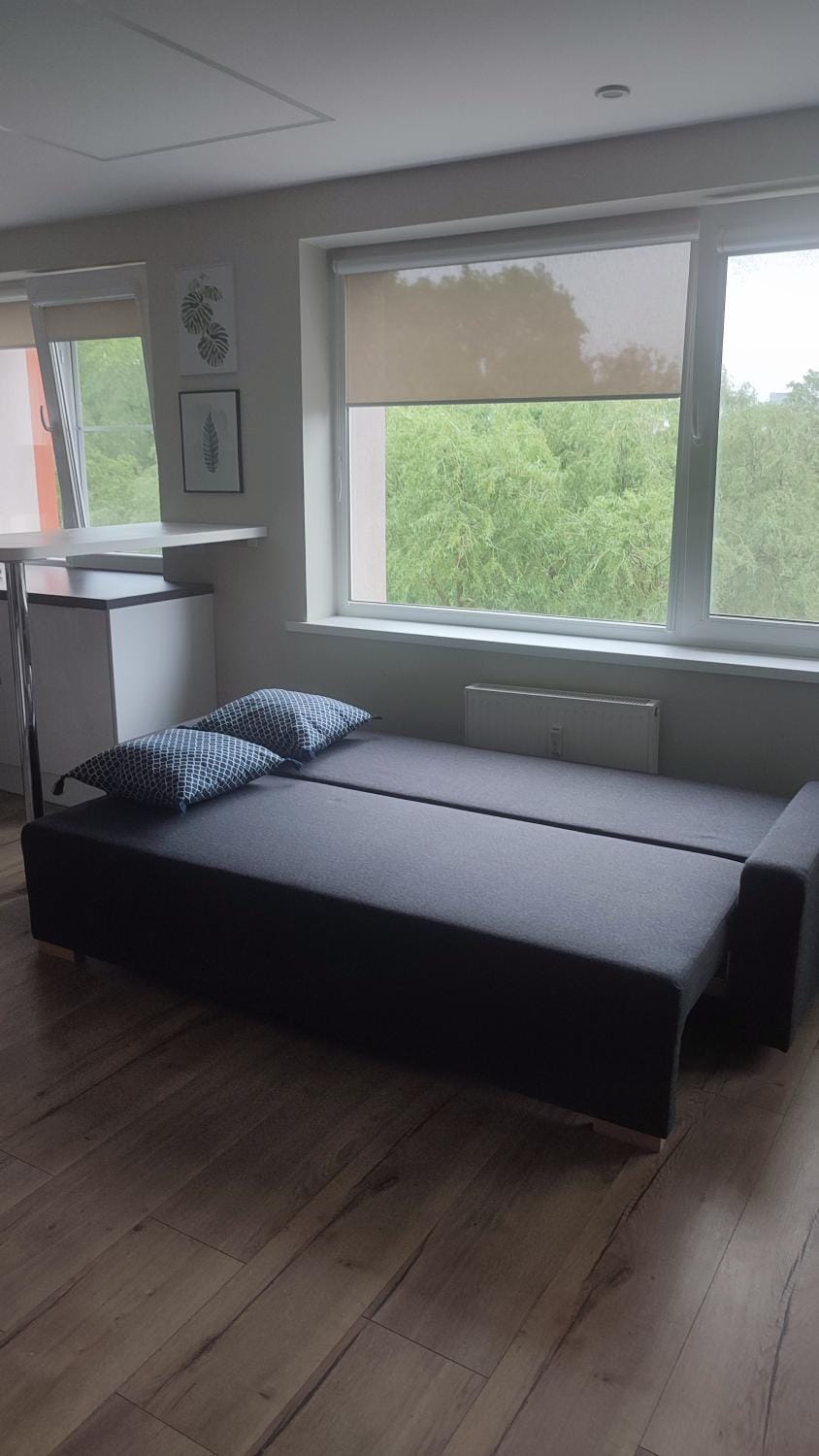 Center apartment Rūtų street Apartment in Klaipėda