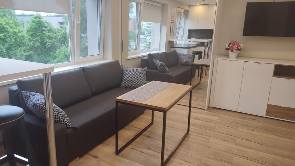 Center apartment Rūtų street Apartment in Klaipėda