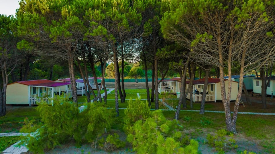 Spring, Day, Garden, Garden view