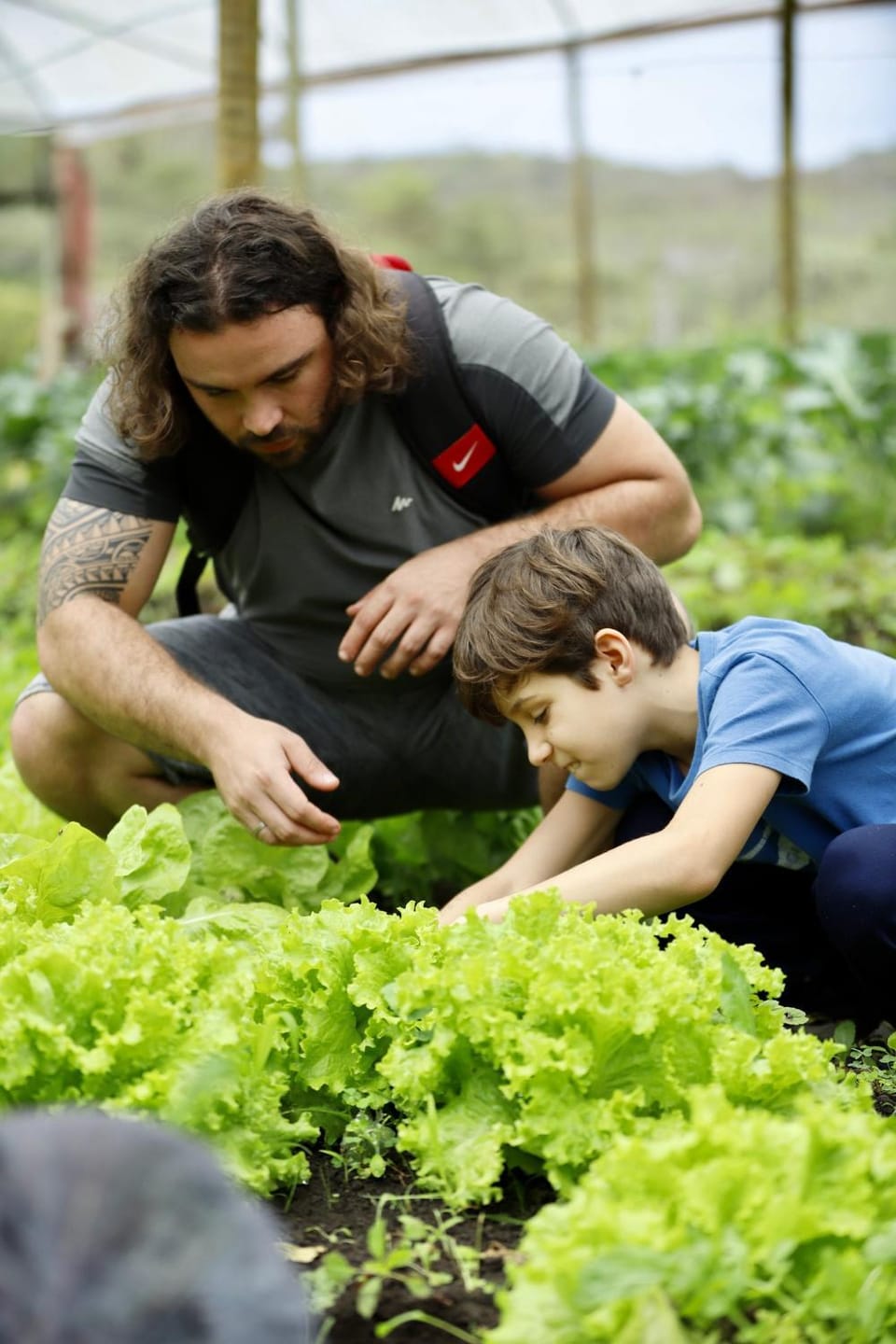 Day, People, Natural landscape, Garden, Garden view, children