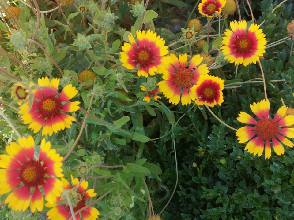 Katzensprung zum Wald Apartment in Mecklenburgische Seenplatte