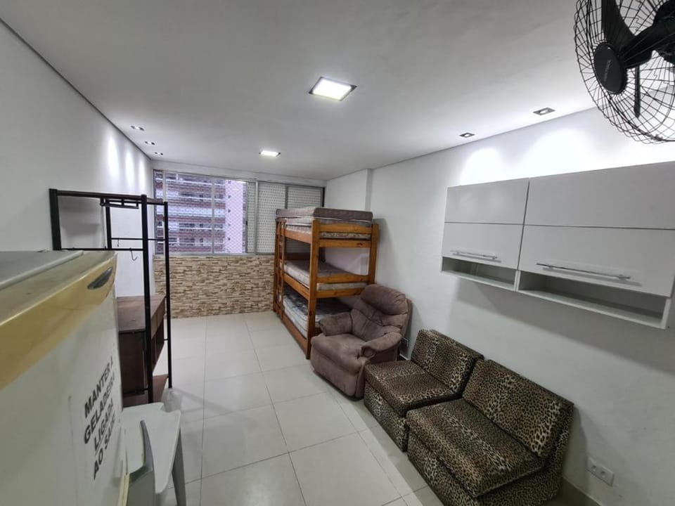 Kitnet Guilhermina Frente Feirinha e Mar Apartment in State of São Paulo