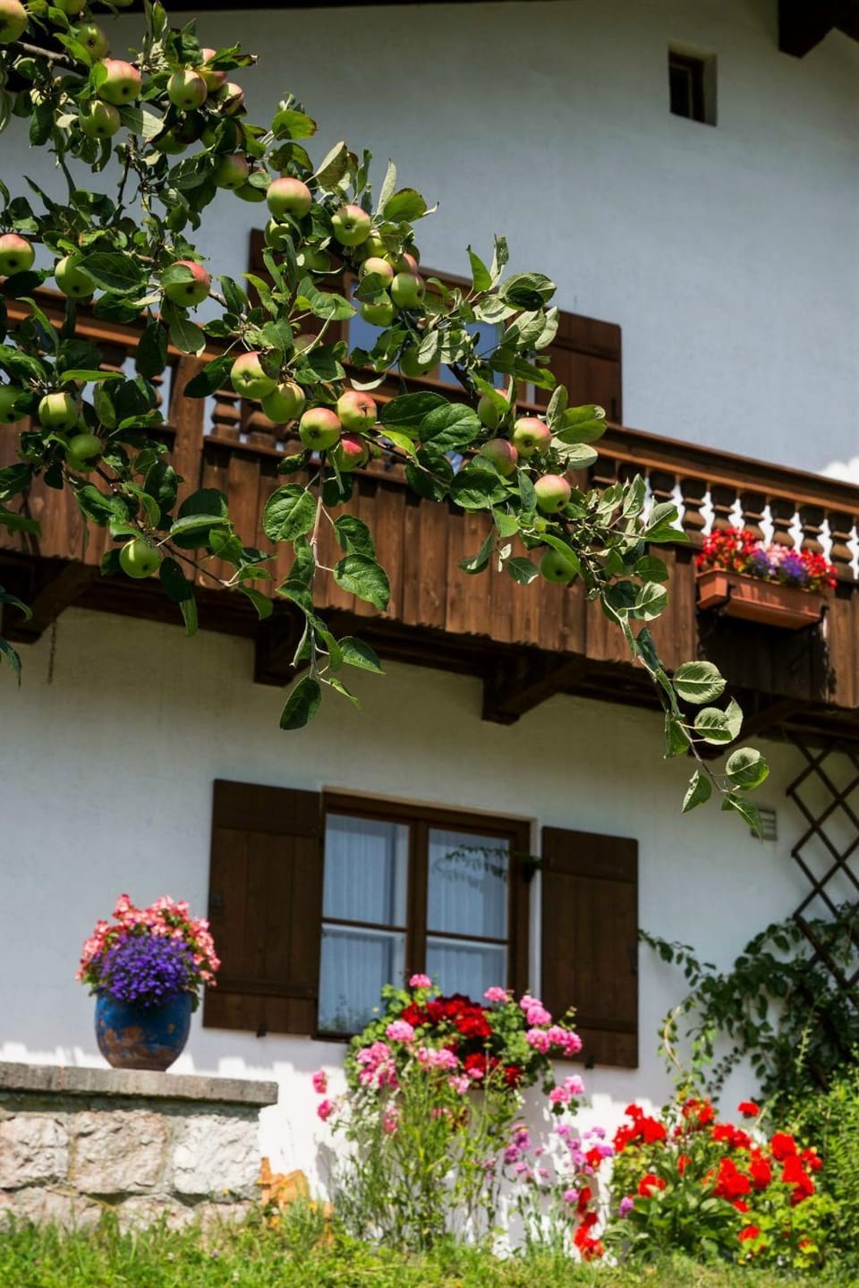 Haus Bergfreund Apartment in Berchtesgadener Land