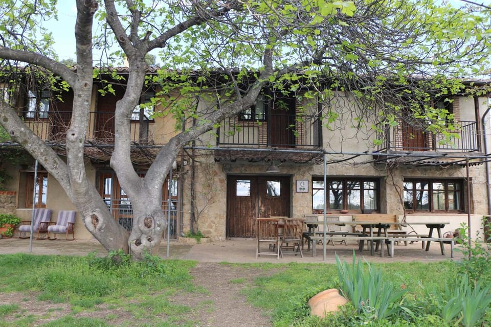 Property building, Patio, Garden
