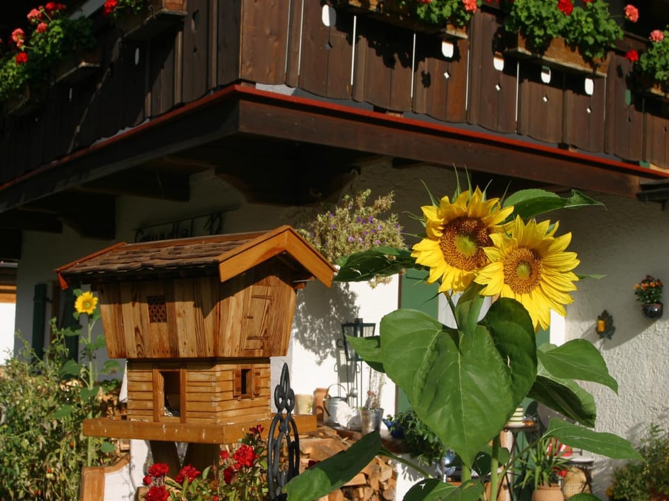 Gästehaus Gmundtal Apartment in Berchtesgaden