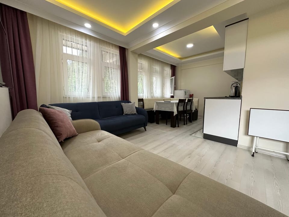 TV and multimedia, Living room, kitchen