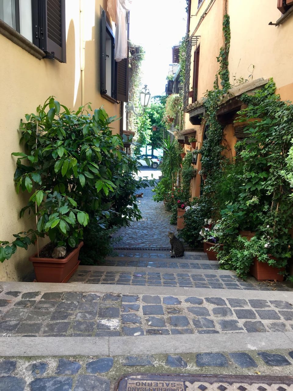 Neighbourhood, Street view