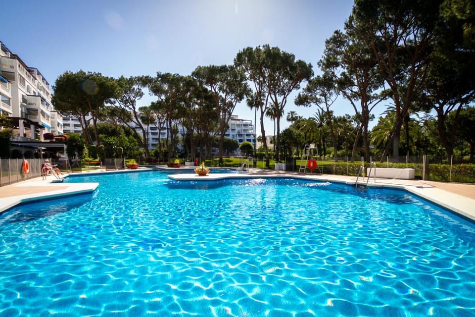 Day, Garden, Swimming pool
