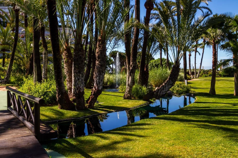 Day, Natural landscape, Garden, Garden