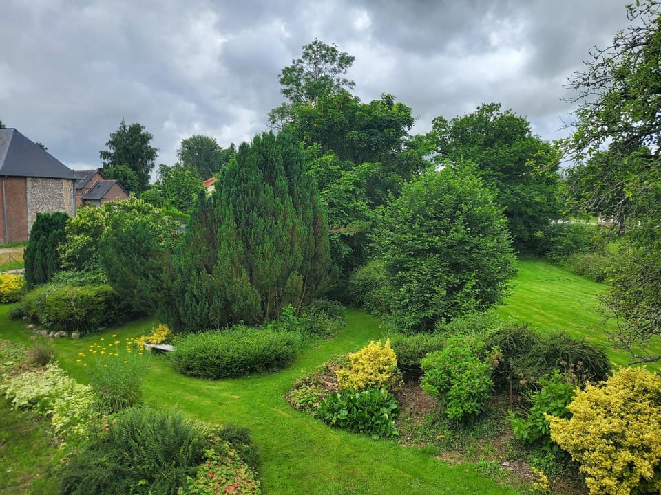 Garden view