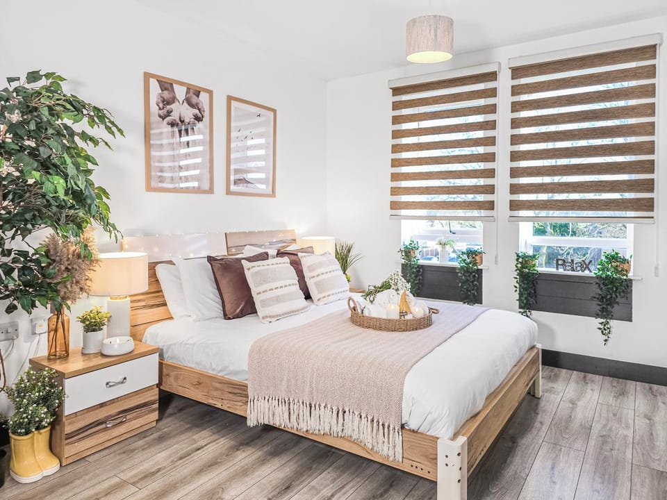 Bed, Photo of the whole room, Bedroom