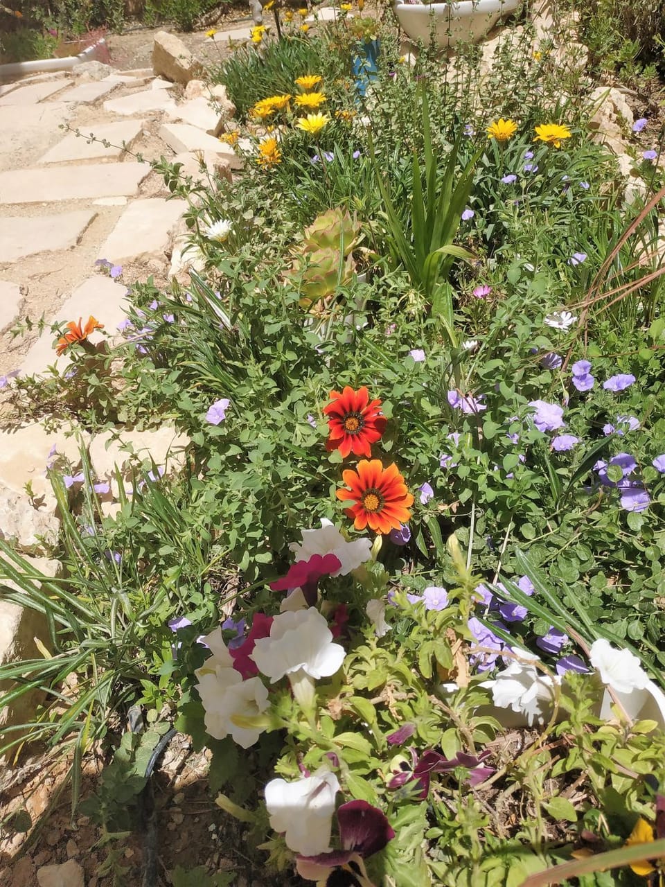 Garden, Garden view