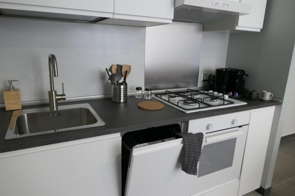 Kitchen or kitchenette, dishwasher, minibar, pet friendly, stove, toaster