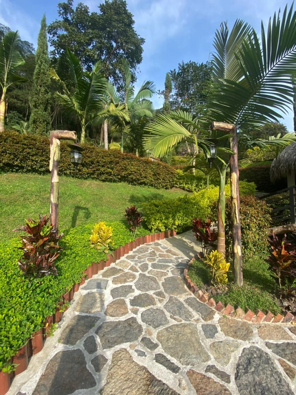 Natural landscape, Garden, Garden view