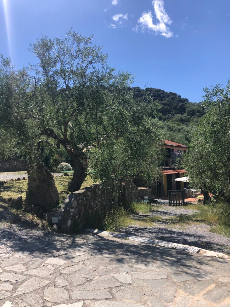 Garden view