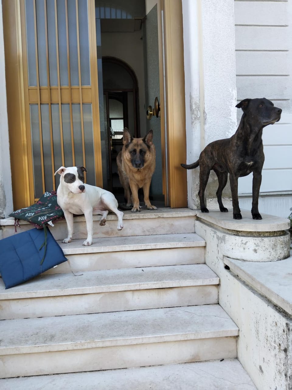 Garden, View (from property/room), Pets, Breakfast