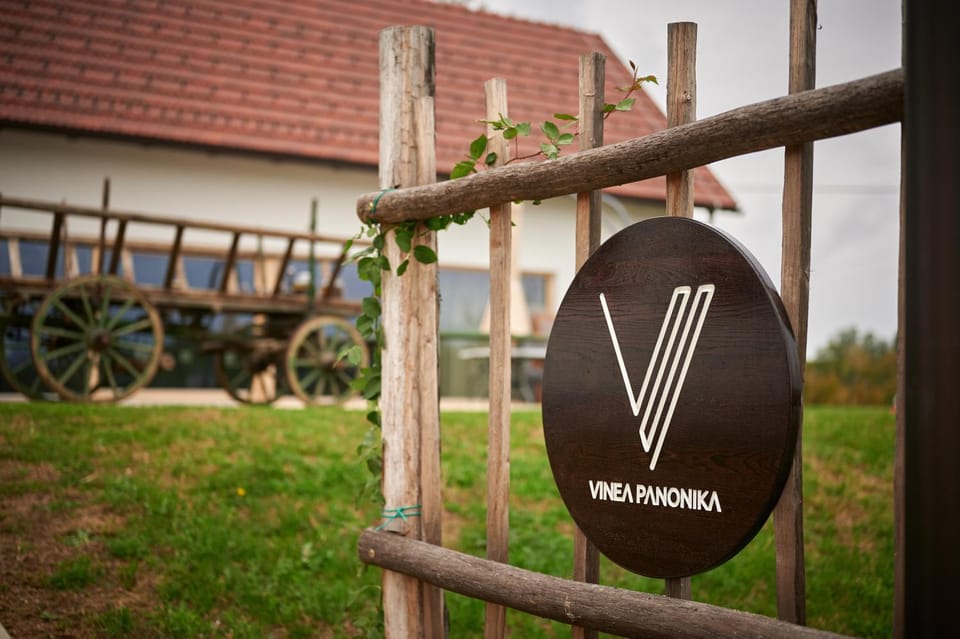 VINEA PANONIKA wine & mind retreat House in Slovenia