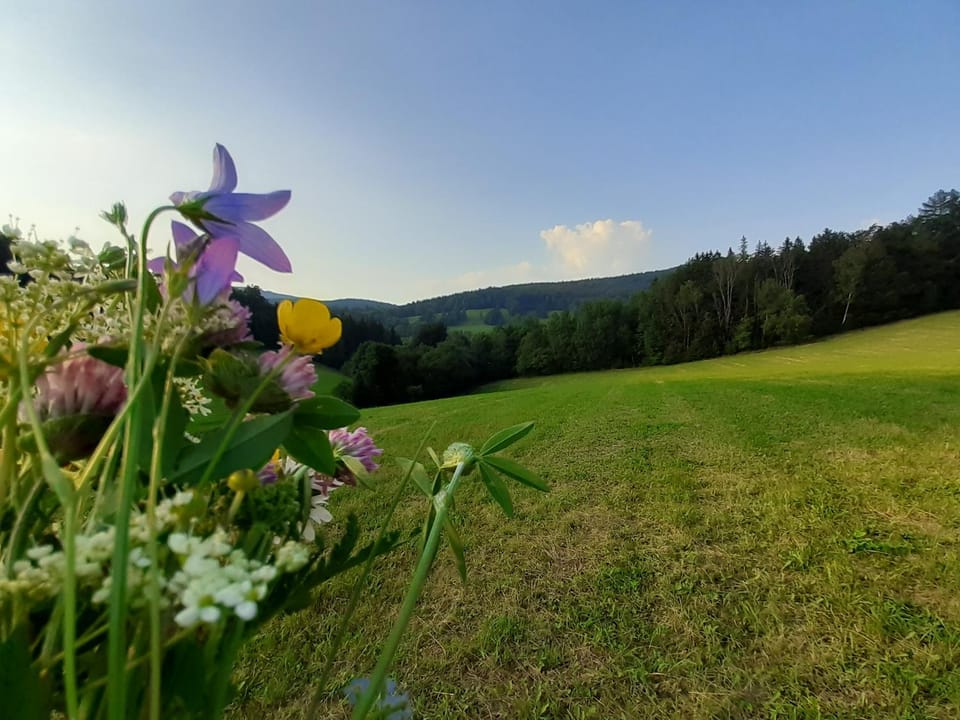 Natural landscape