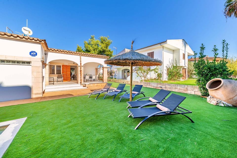 Patio, Garden, Garden view, sunbed