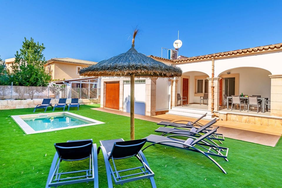 Patio, Garden, Garden view, sunbed
