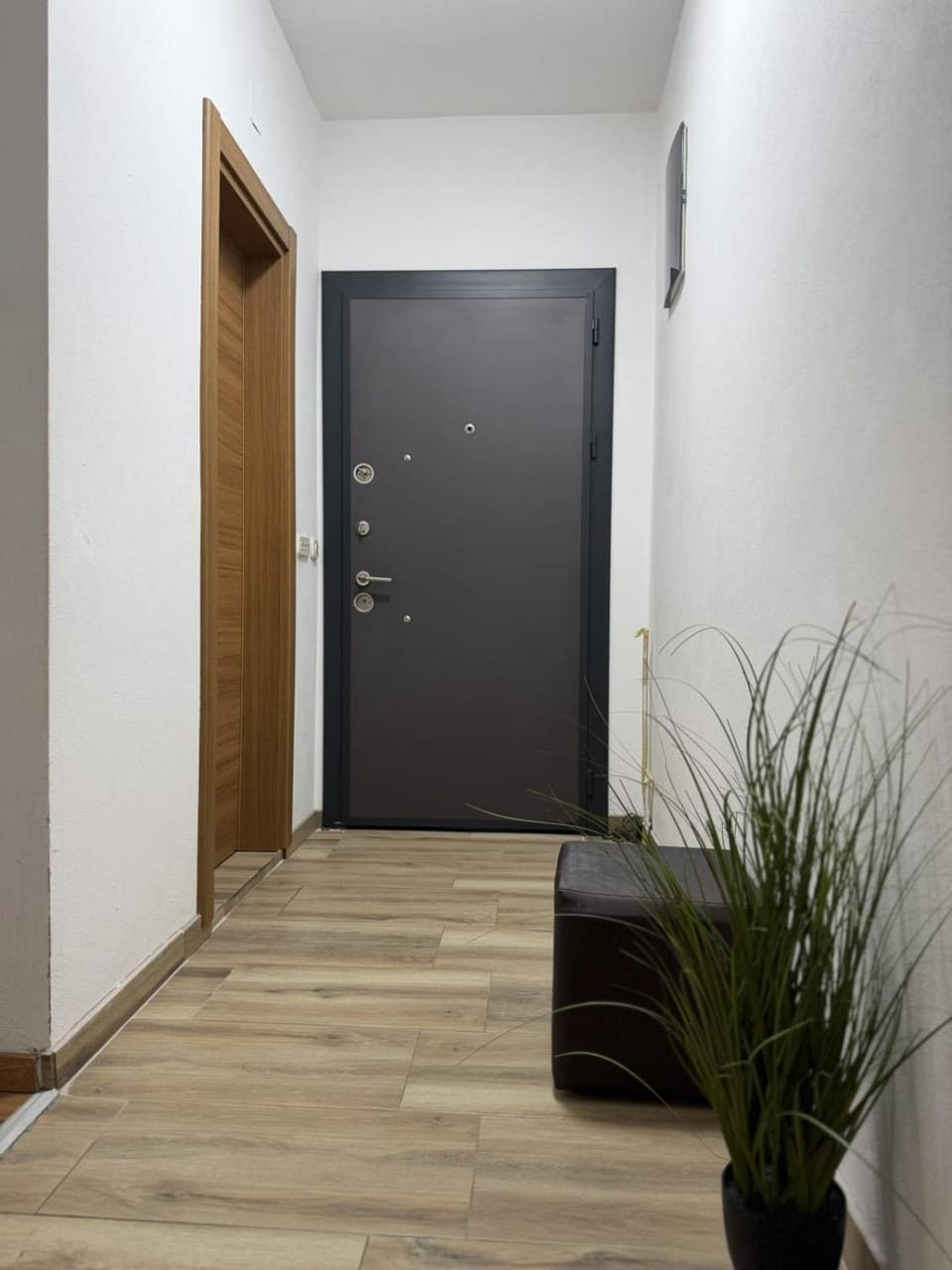 Eva apartment Apartment in Ohrid
