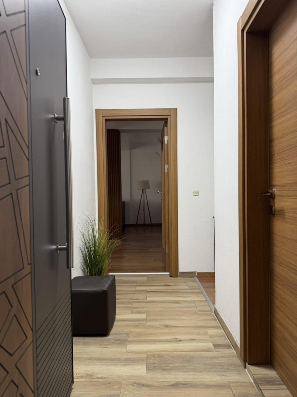 Eva apartment Apartment in Ohrid