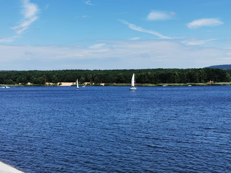 Lake view