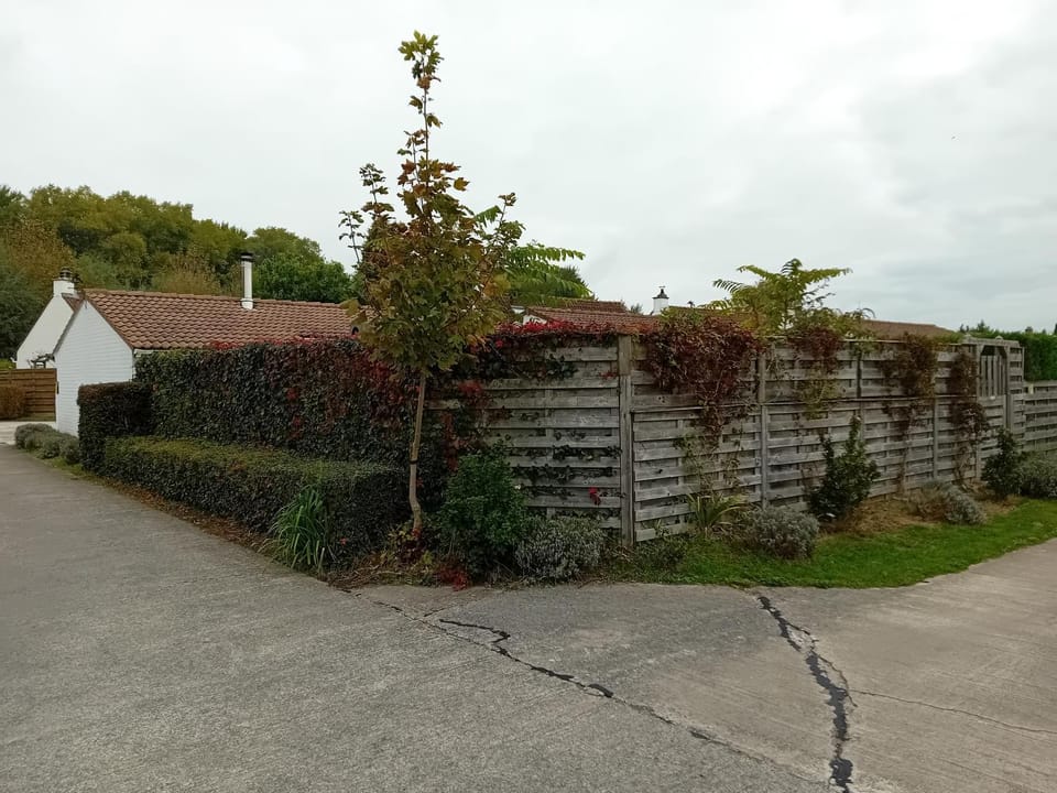 Property building, Day