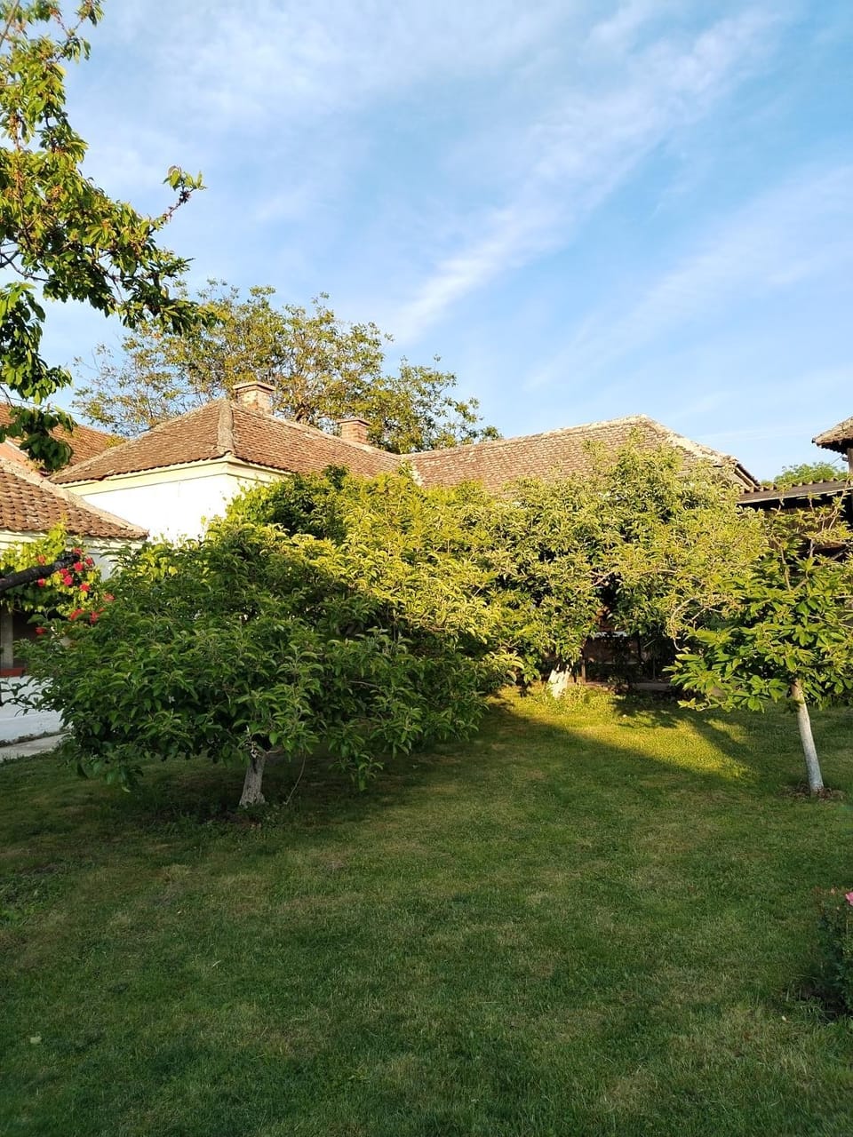 Day, Garden