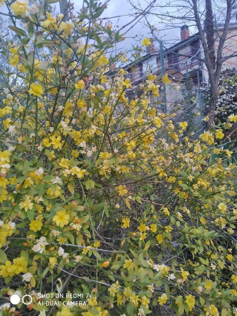 Natural landscape