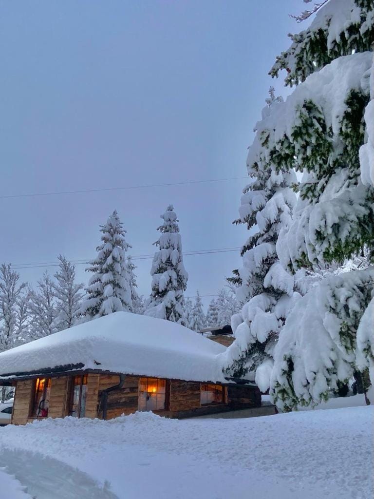 Mountain house Beauty of Laz Chalet in Primorje-Gorski Kotar County