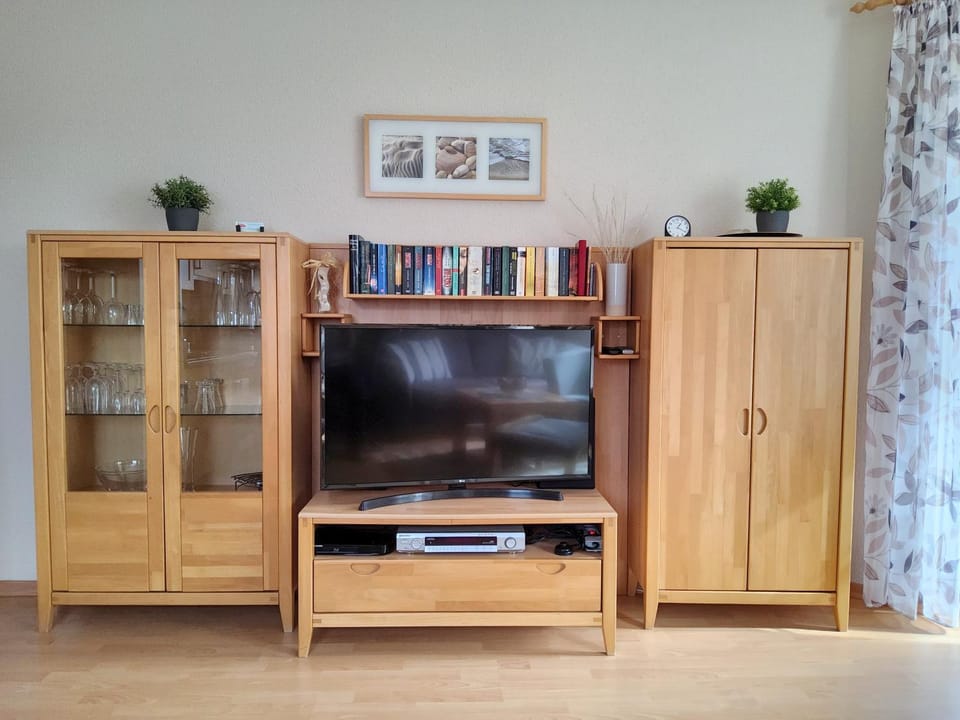 TV and multimedia