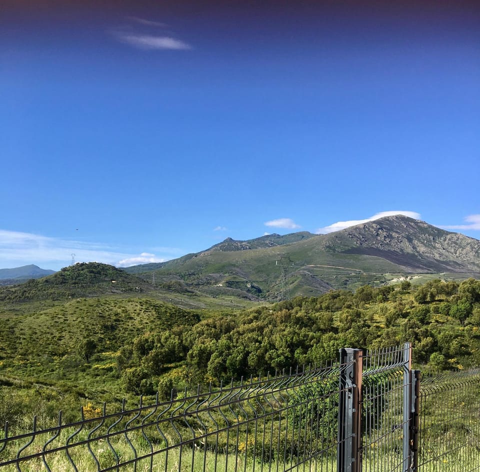 Mountain view