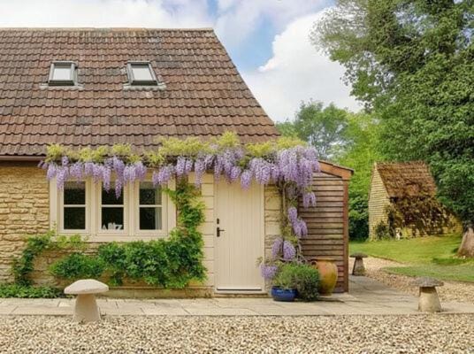 Great Ashley Farm Holiday Cottage & Shepherds Huts House in England