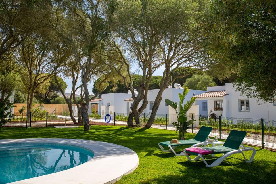 Garden, Swimming pool