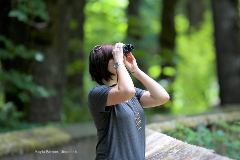 Activities, Hiking, Hiking, Sports