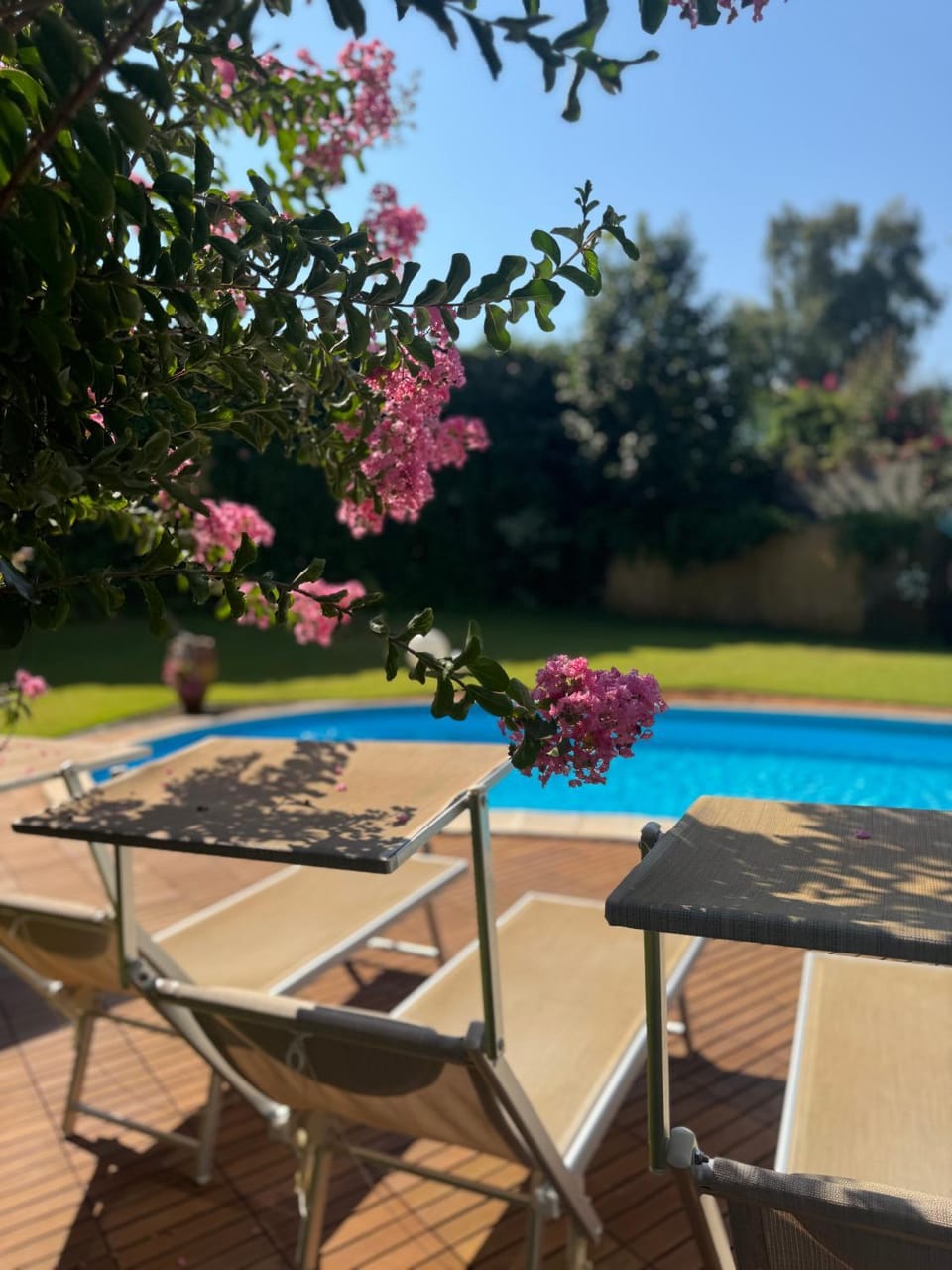 Garden, Garden view, Pool view