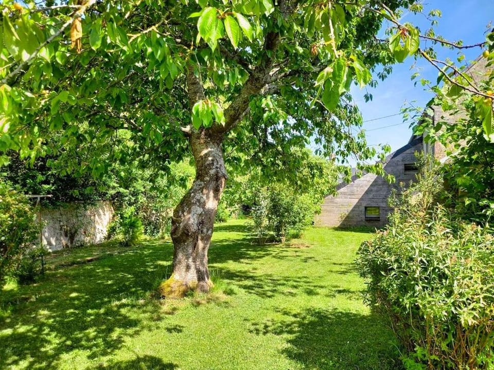 Heritage stone house BnB with Gourmet Breakfast - Chambres d'hôtes de charme entre Bayeux et les plages du débarquement Bed and Breakfast in Normandy